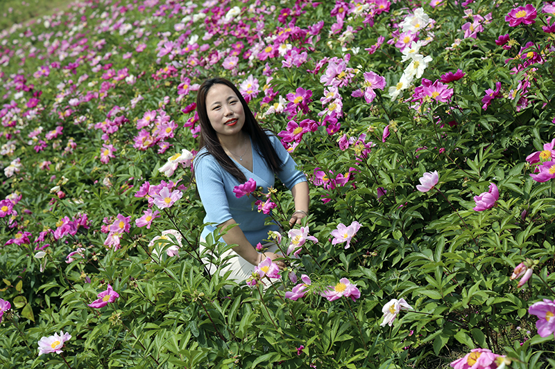 97622娱乐电子游戏劳模 | 李婷婷：初心映照蜕变人生